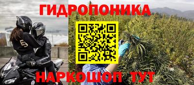 шишки Комсомольск-на-Амуре