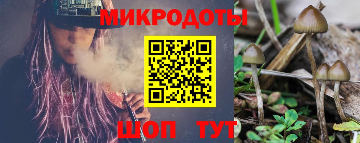 Псилоцибиновые грибы мухоморы Кемерово